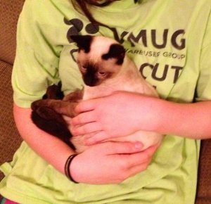 552702_549917808390658_80882521_n